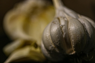 close up of garlic