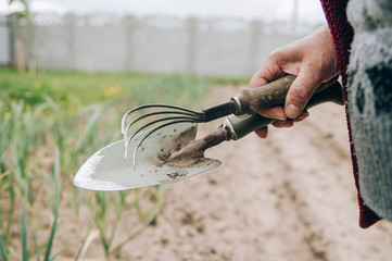 Gardening tools on fertile soil texture background seen from above, top view. Gardening or planting...