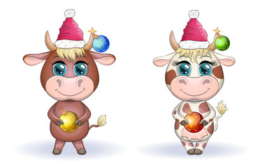 Cute cartoon cow, bull with a Christmas present and in a red santa claus hat, symbol 2021 on the eastern calendar