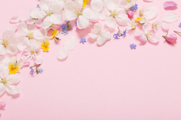 Fototapeta premium spring flowers on pink background