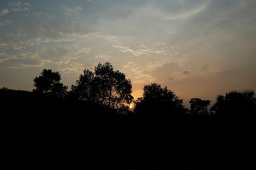 Beautiful sunset with sun, trees and colorful clouds