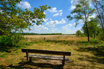 Fototapeta na wymiar A wooden bench overlooking scenic landscape with heather under a blue cloudy sky