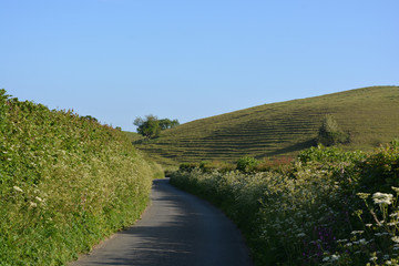 Fototapeta na wymiar road in the countryside, Dorset, England