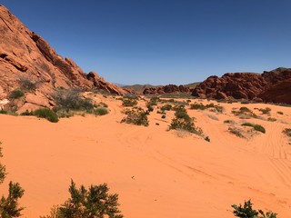 Red sand desert