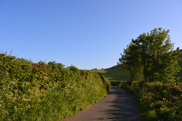 Fototapeta na wymiar Summer landscape and empty lane, Dorset, England 