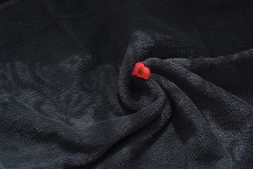 A single red flower in a black towel in a rippled pattern