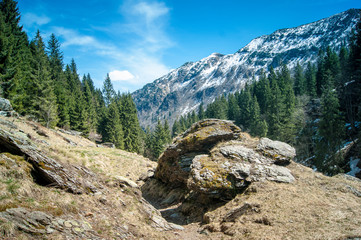 yosemite national park