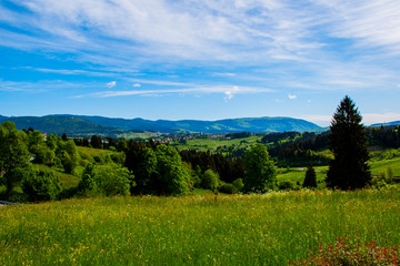 Naklejka premium green and blue
