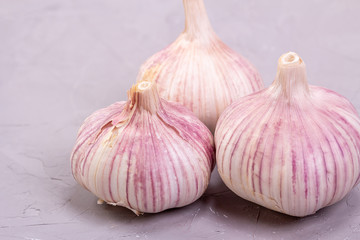 Three heads of garlic close-up on a gray background