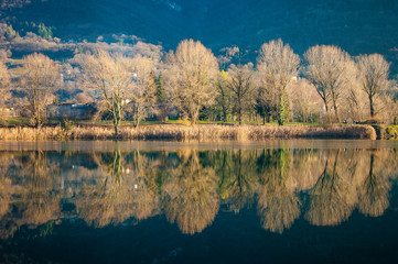 reflection in the water