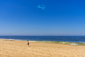 Obraz premium boy launches a kite on the beach