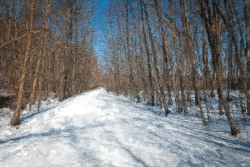 Impressionistic Style Artwork of a Snow Covered Trail Winter Forest