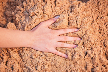 Female hand on the sand at the beach.