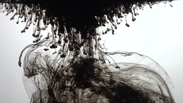 Dark ink fluids in water