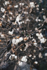 Processed with VSCO with hb2 preset