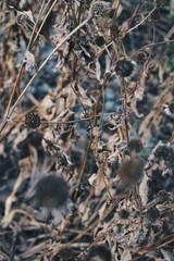 Processed with VSCO with hb2 preset