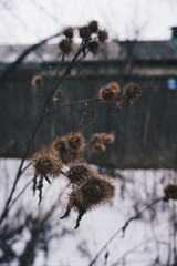 Processed with VSCO with hb2 preset