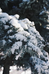 Processed with VSCO with hb2 preset