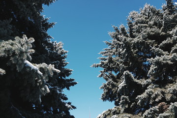 Processed with VSCO with hb2 preset