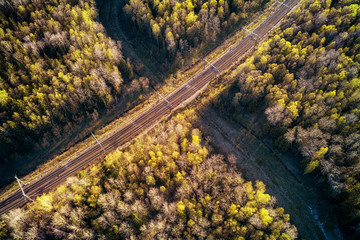 Forest road and railroad crossing aerial