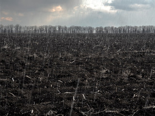 bad weather snow field