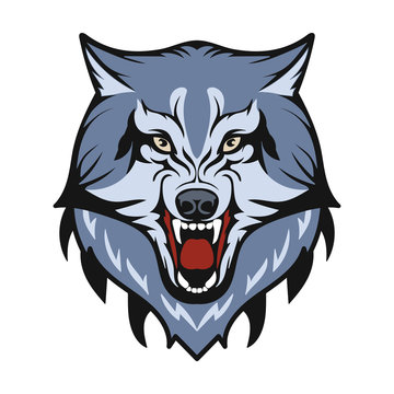 The head of the wolf. The animal gritted its teeth. The totem of a forest dweller. Logo detail. Vector isolated image.