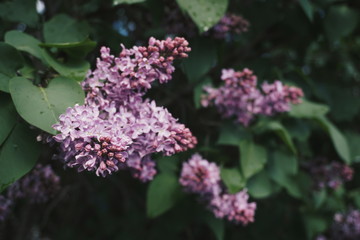Processed with VSCO with hb2 preset