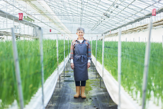 Senior woman working at greenhouse