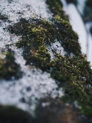 Processed with VSCO with hb2 preset