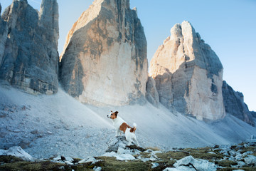 Dog in the mountains. Tracking, hiking with a pet. Brave Jack Russell Terrier on top