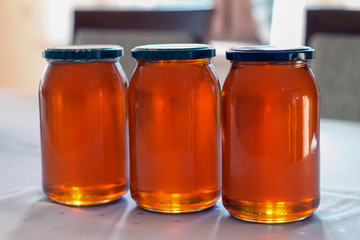 Honeycomb and the organic product of the bees - pure and clear honey from polish forest