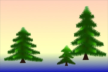 Three green spruce trees of different sizes on a sunset background