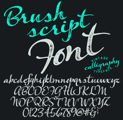 Hand drawn typeface set. Brush painted characters: lowercase and uppercase.Typography alphabet for your designs: logo, typeface, card, wedding invitation.Vector Illustration.