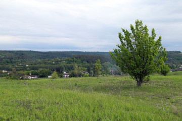 Fototapeta premium A village of several houses on a green hill