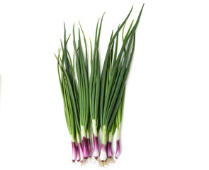 red spring onions white background