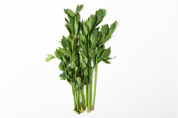 Lovage - Levisticum officinale on white background