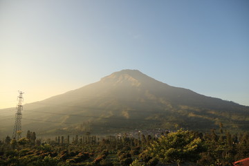 Fototapeta premium mountain sindoro landscape with fog