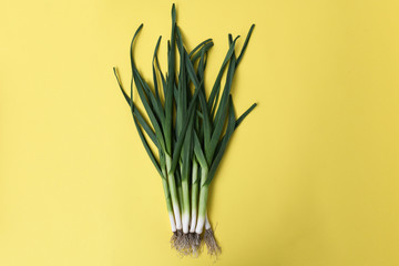 fresh green garlic - close up