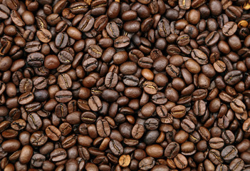 Roasted coffee beans