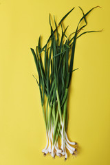 fresh green garlic - close up