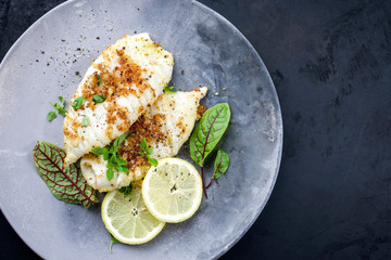 Gebratene Kalamari Tuben calamari tubes in Semmelbrösel Panade mit Zitronenscheibe und Salat Blätter angeboten als Draufsicht auf einem Modern Design Teller mit Textfreiraum rechts © HLPhoto