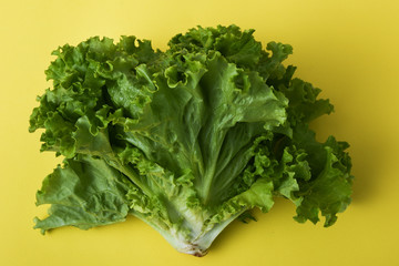 Fresh lettuce leaves - close up