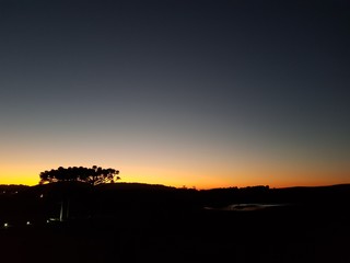 Fototapeta na wymiar Savanna sunset.