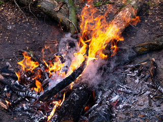 The yellow-red flame dancing over a bonfire in the forest