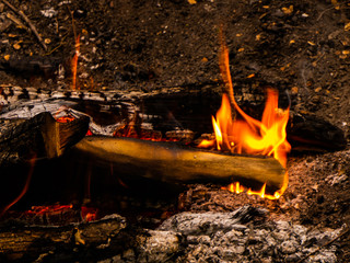 The yellow-red flame dancing over a bonfire in the forest