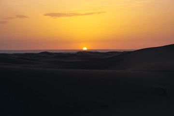Fototapeta premium sunset in the desert