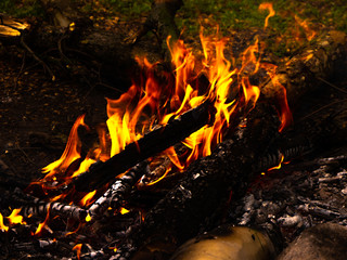 The yellow-red flame dancing over a bonfire in the forest