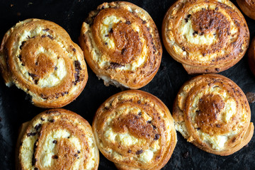 Cheesecake, pie with cottage cheese. Patties with cottage cheese and raisins. Pies dense side by side on a baking sheet