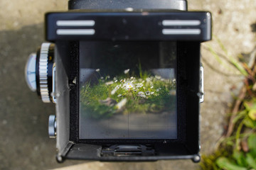 landscape through the viewfinder of the vintage TLR (Twin lens reflex) camera.