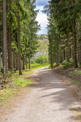 Wide trail in the forest, park in central Sweden